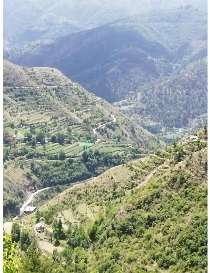 Hotel Mountain View, Chakrata Zewnętrze zdjęcie