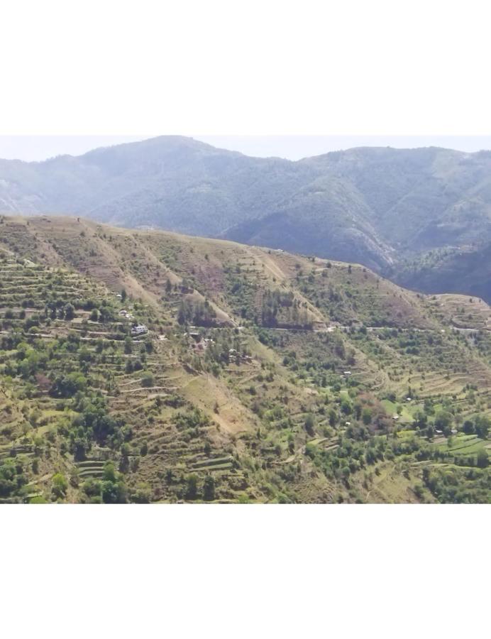 Hotel Mountain View, Chakrata Zewnętrze zdjęcie