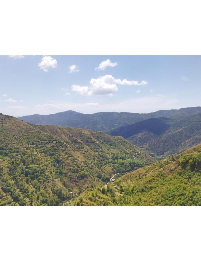 Hotel Mountain View, Chakrata Zewnętrze zdjęcie